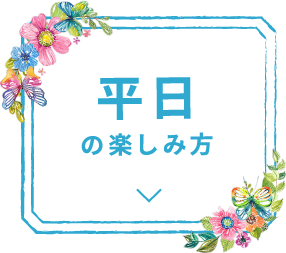 平日の楽しみ方