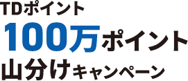 TDポイント100万ポイント山分けキャンペーン