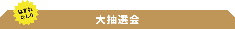 はずれなし!!大抽選会