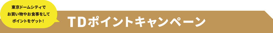 TDポイントキャンペーン