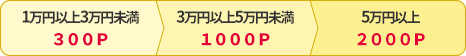 ポイント詳細